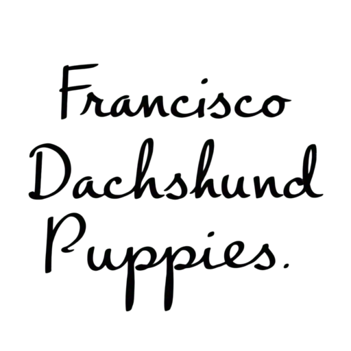 franciscodachshundpuppies.store